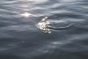 Pictures 052